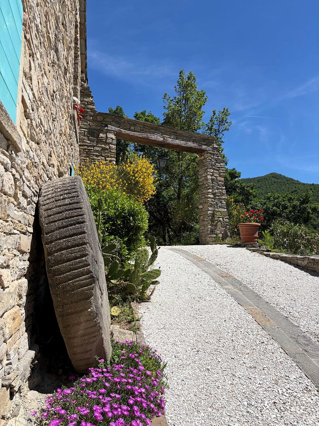 An ancient carved millstone resting against a dry-stone wall in Acquaviva, beside a gravel path leading to a stone archway, framed by wildflowers and prickly pears.